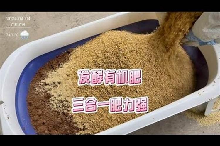 韭菜可以用人尿施肥吗(韭菜追肥用草木灰还是人尿好)