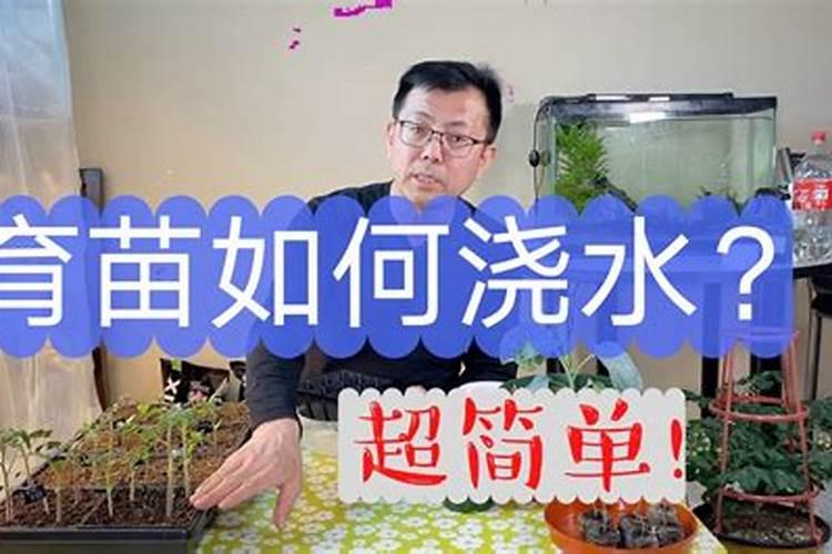 幼苗后期应如何进行叶面追肥？