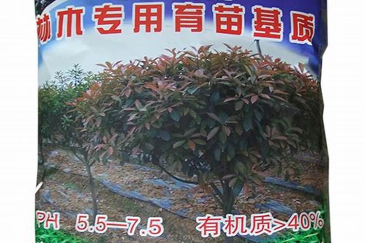 西瓜用基质育苗技术