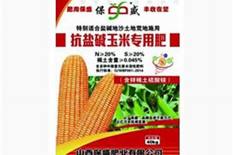 落地生根水肥管理技巧