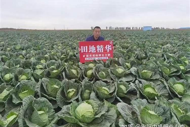 硼肥的用法及用量