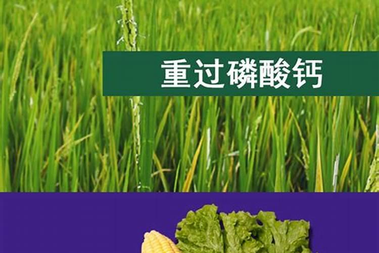 化学肥料中的重钙是什么