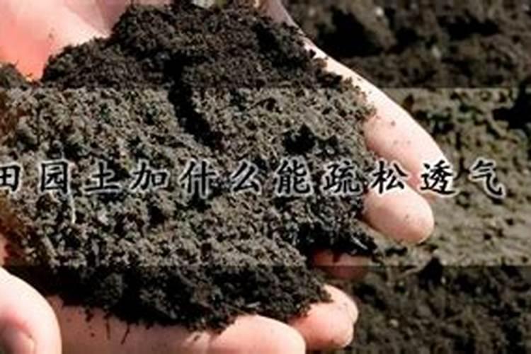 种植贡菜需要用什么化肥