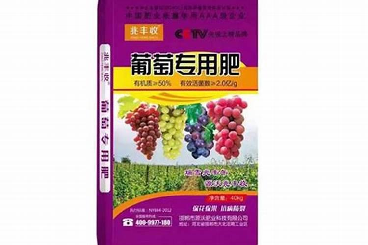 葡萄着色期施什么肥 管理要点有哪些