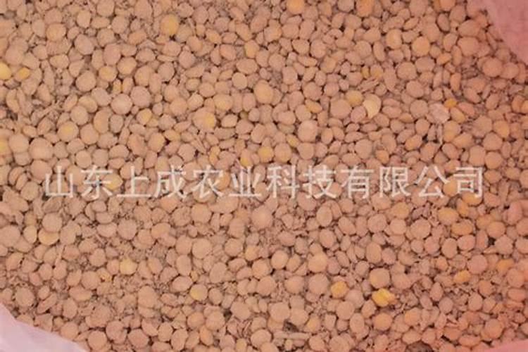 黄豆可以做花的肥料吗