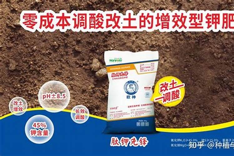 湿陷性黄土地基处理方法是什么