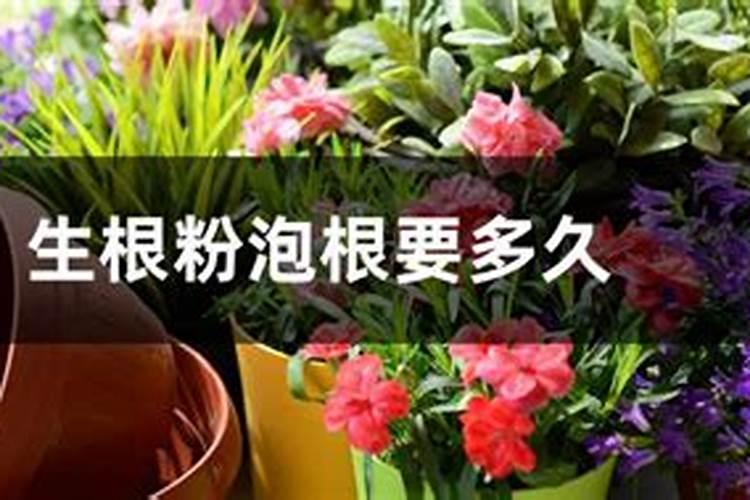 怎样培养浮萍求解答