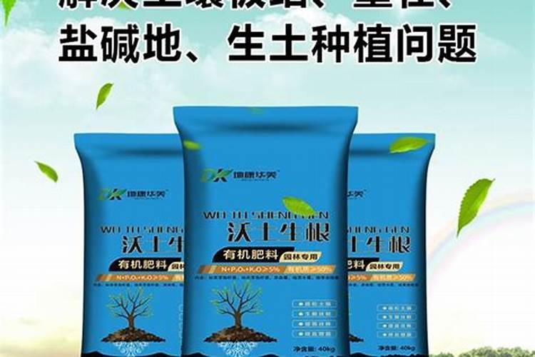 佛手瓜种植时间和方法