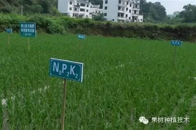 为什么土壤施肥要求考虑施肥的时间,位置,深度？
