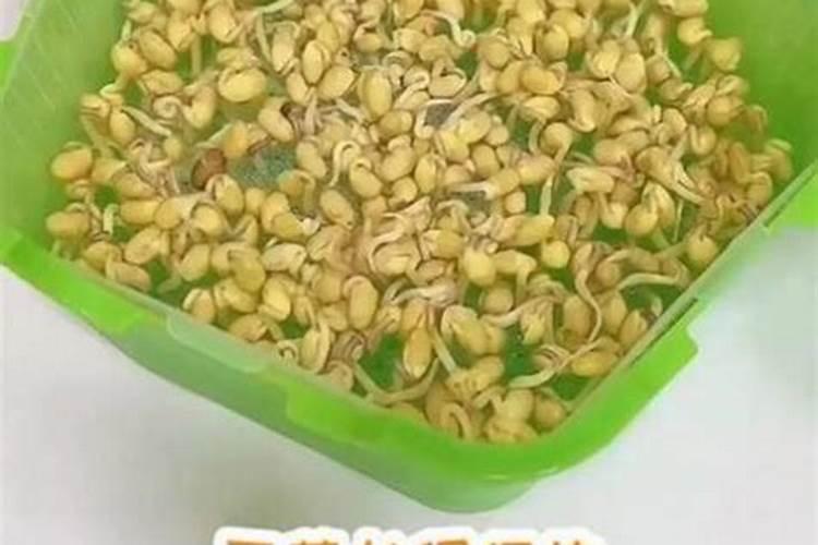 种绿豆用什么肥料好 施肥方法有哪些