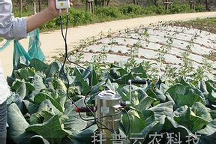 怎么判断土壤肥力？