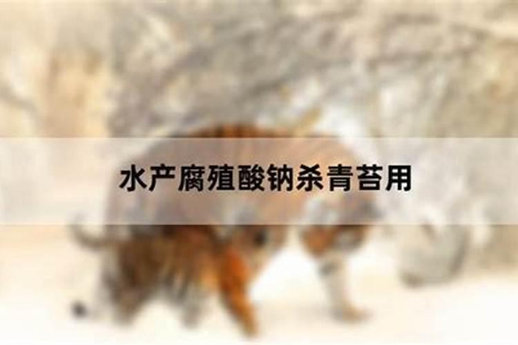 腐植酸钠在水产养殖中的用法