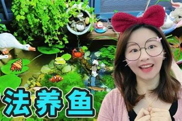 红心果简介