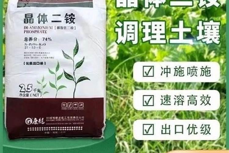 哪些磷肥可以养花
