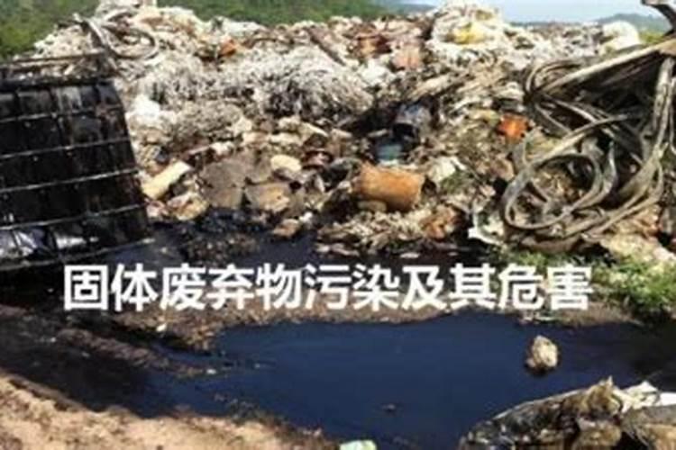蒜苗适合用什么叶面肥