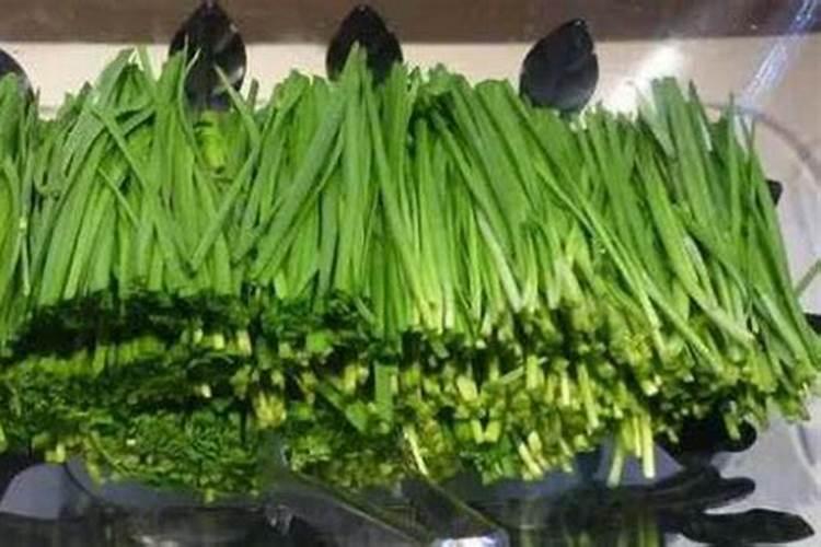 云豆生菜黄瓜韭菜苦菊南瓜 蔬菜施牛,马粪肥可以吗？