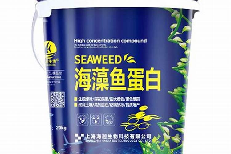 安徽种小麦还是水稻