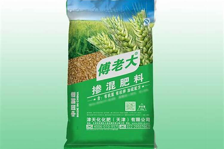 玉米的高产种植方案