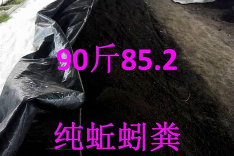 促进草坪生长的药有什么