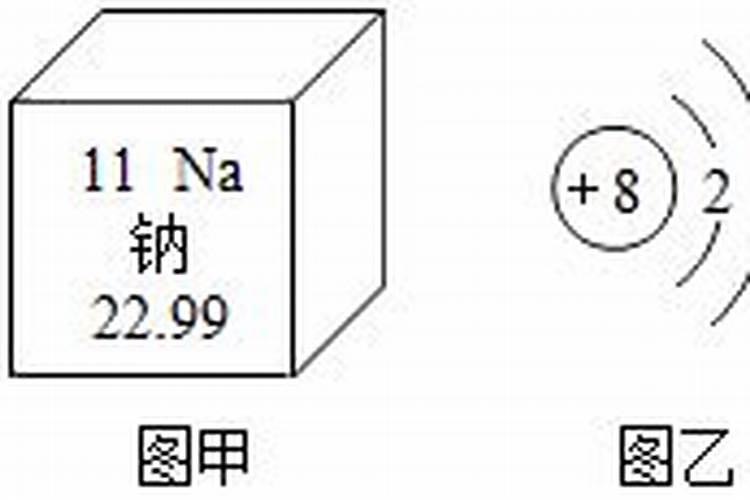 嫁接西瓜为什么容易出现叶缘黄化的现象？