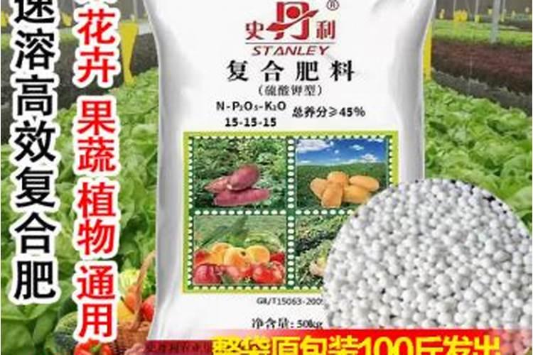 荔枝的合理施肥方法