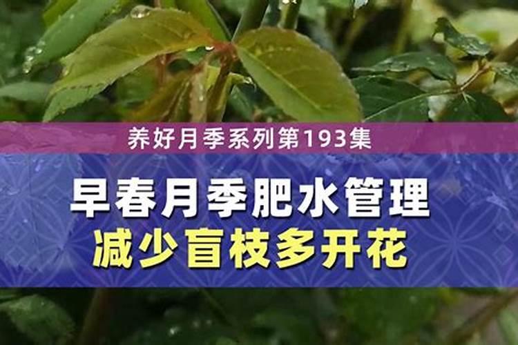 大豆需要上什么肥料