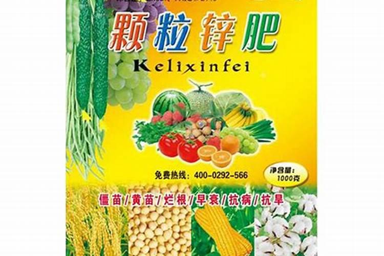 农村经常施锌肥,对玉米生长有哪些好处？