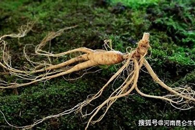 品牌榜:2024年生物有机肥十大品牌排行榜 投票结果公布【新】百度知...