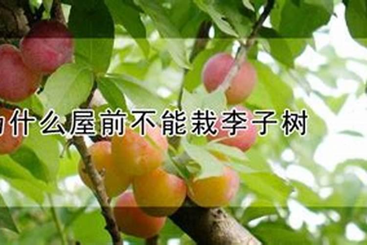 补锌过量该怎么办？有什么症状？