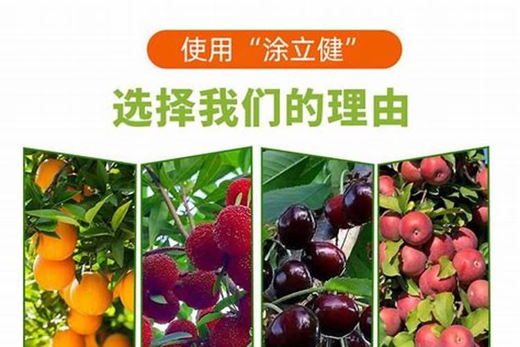 苹果用什么水溶肥好