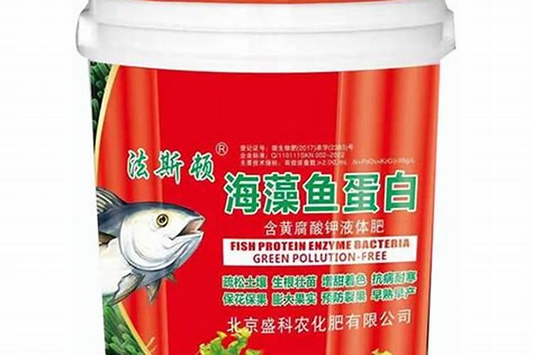 四季春花怎么养