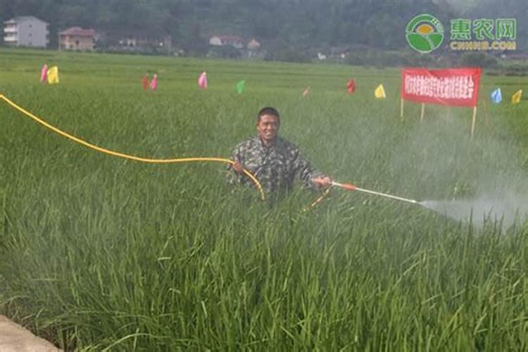 先正达氨基酸水溶肥的功效与作用