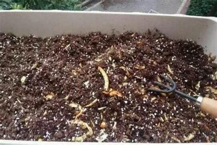 家庭自制氮肥有哪些