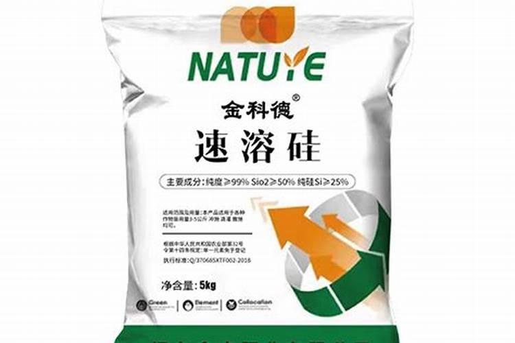 草莓大棚如何管理和用药