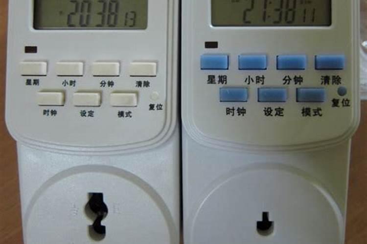 甘蔗的种植时间与方法图片