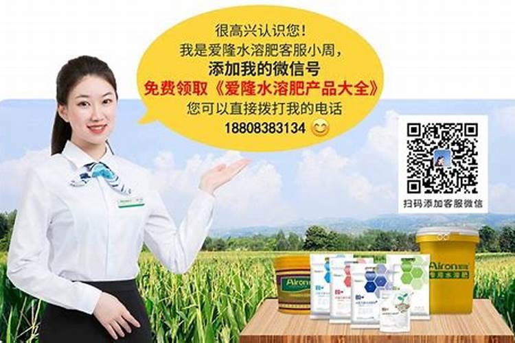 朝天椒施肥用什么肥料