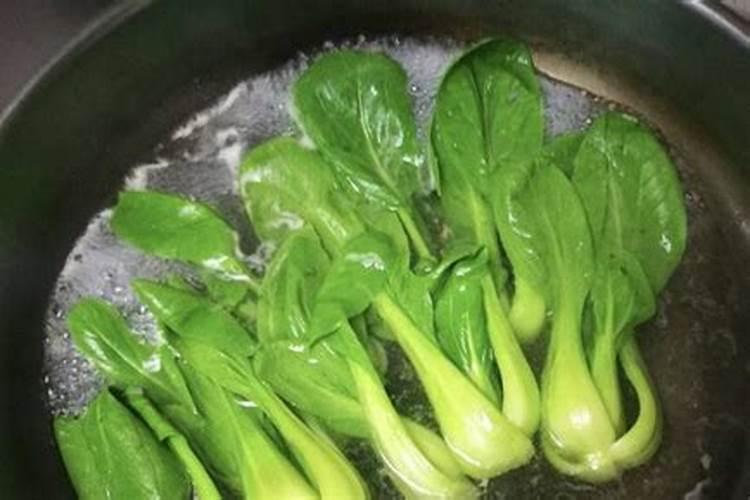 月季花花瓣可以当肥料吗？