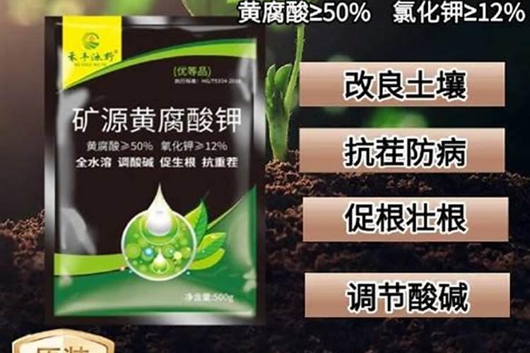 农村常见的草木灰是个“宝”,扔掉就浪费了,看看都有哪些作用？