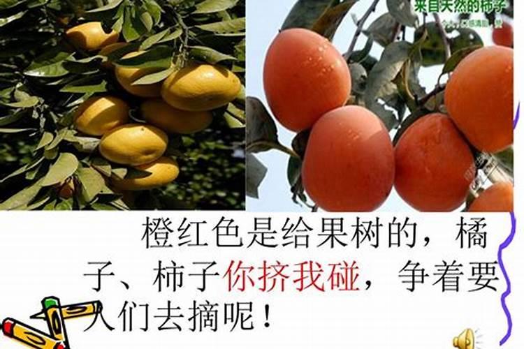 球兰用什么肥料最好？磷酸二氢钾可以用吗？
