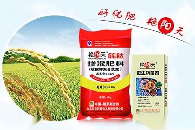 艳阳天复合肥红日阿康复合肥料价格大汇总