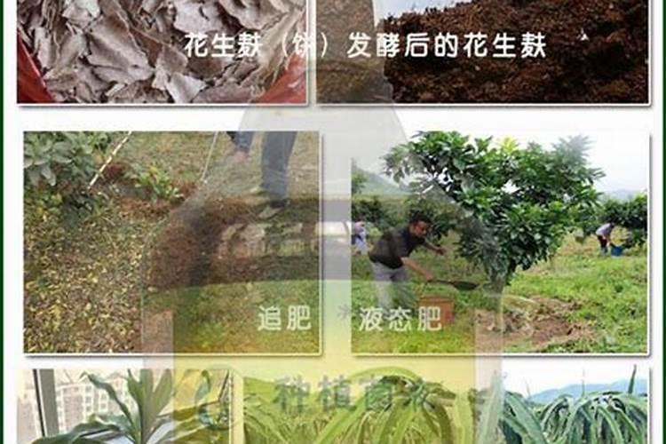 淘米水沤肥发霉了,是不是就算失败了