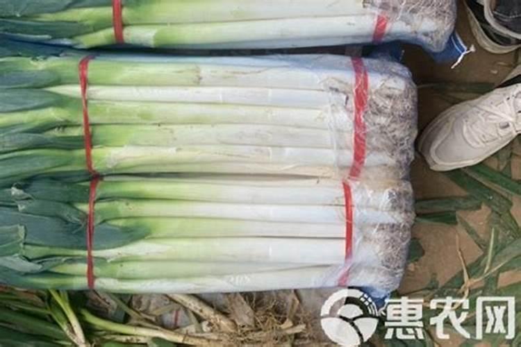 矿源黄腐酸钾最佳搭档