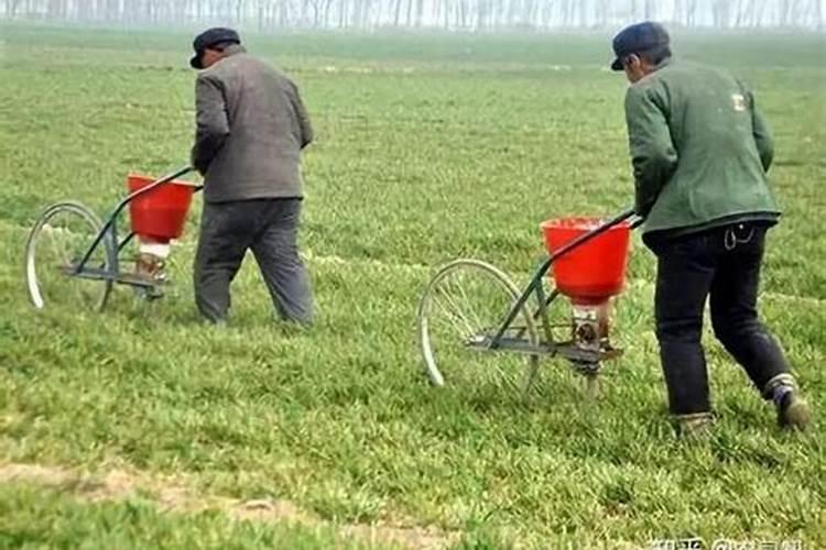 想问一下氮肥是什么肥？