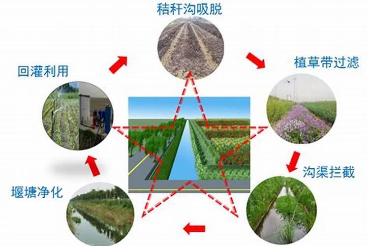 治理茶园土壤污染