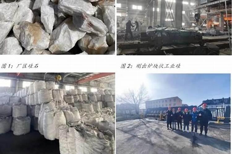 月季花多久施肥一次月季花施肥时间