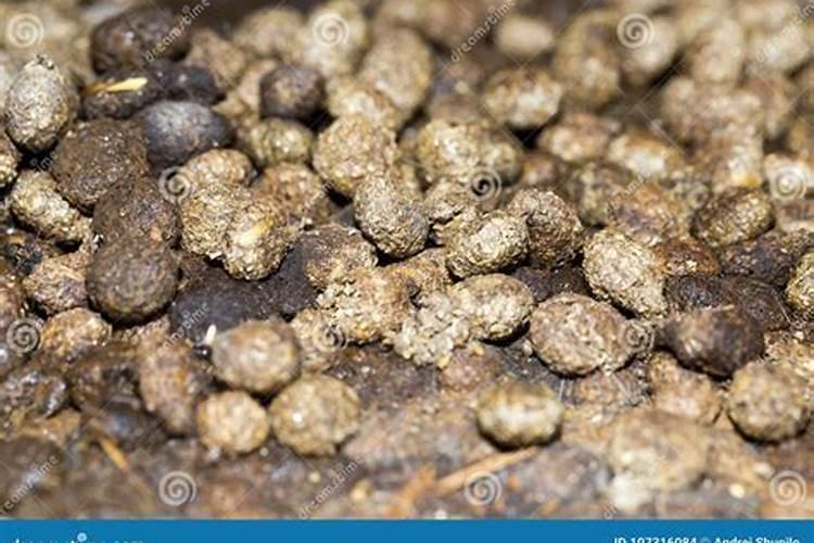 氮磷钾肥料的作用