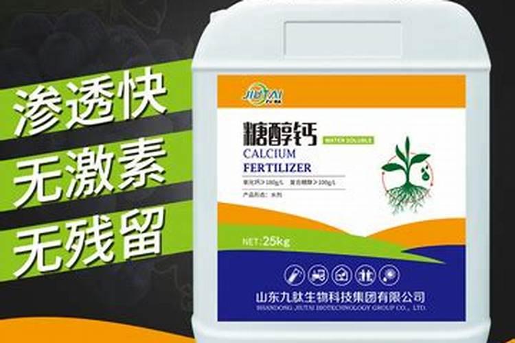 防止葡萄裂果的技巧方法
