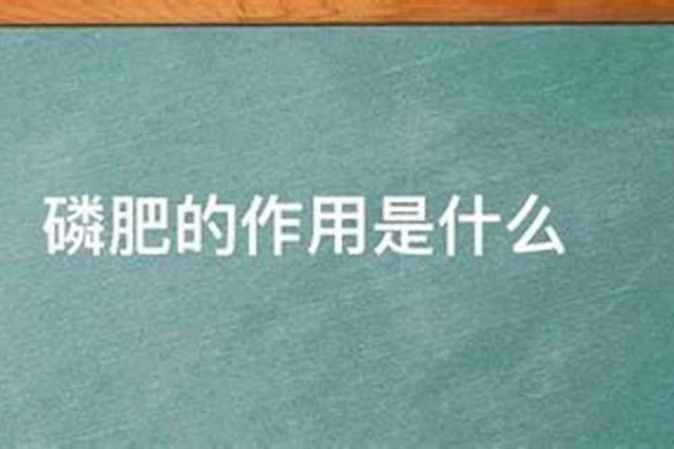多肉能用营养液喷雾吗