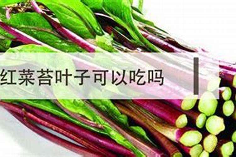 红菜苔可以施草木灰吗？