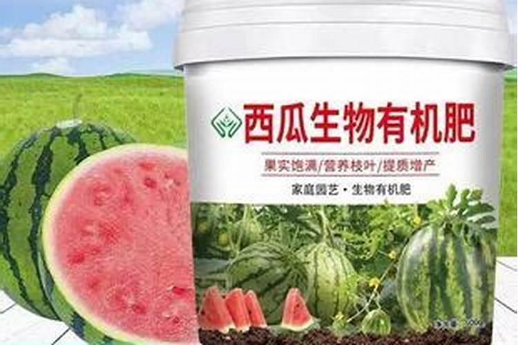 刚栽好的红薯秧能放磷肥吗他烧不烧？